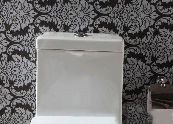 Унитаз электронный Bath front guards 838 Унитаз электронный Bath front guards 838
