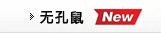 无孔鼠