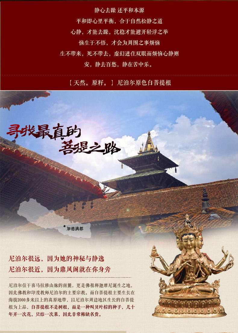  白菩提根_02