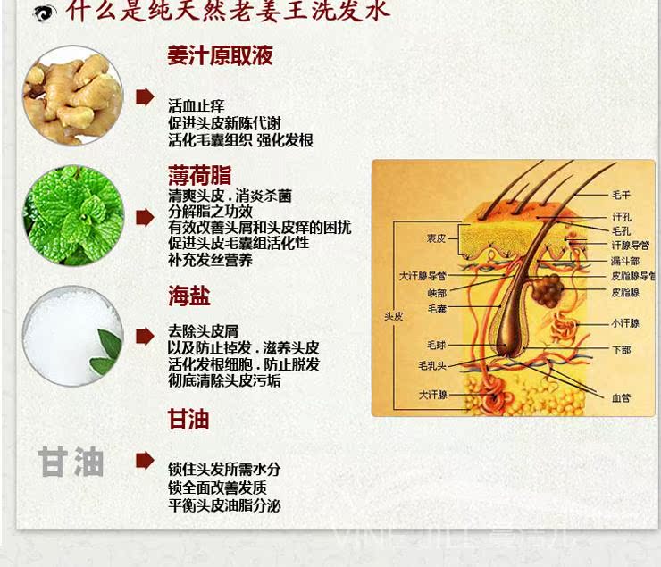 【全网比价】博倩 老姜王<em>姜</em>疗<em>护理</em>发膜 修护干