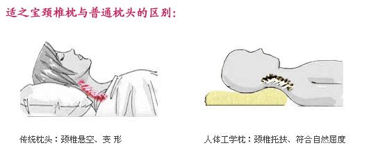 第一部分:《枕头记》好枕头三要素(来源:百度百科)