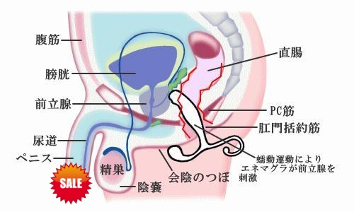 包邮送礼 美国高岛前列腺按摩器 男用g点后庭按摩棒 自慰用品