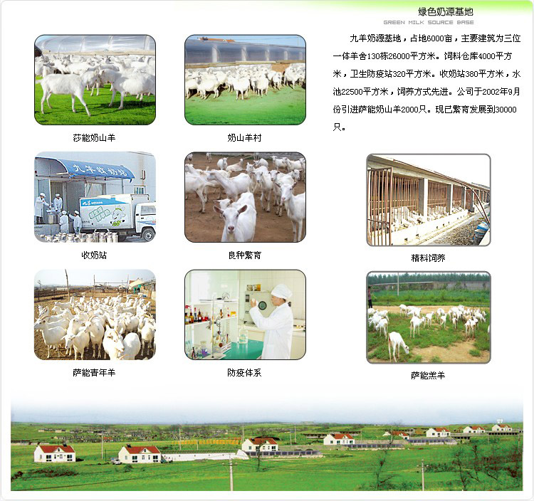 【九羊新鲜液态山羊奶 盒装液体纯羊奶 糖尿病