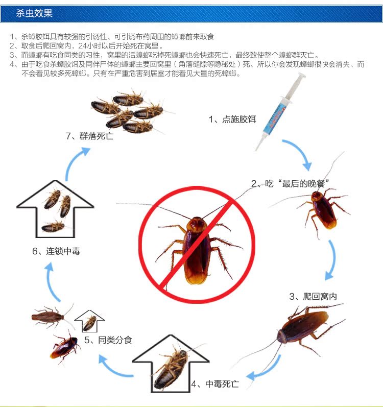 科凌虫控特效蟑螂胶饵 杀蟑螂灭蟑螂全锅端 无毒蟑螂药1支装0.06