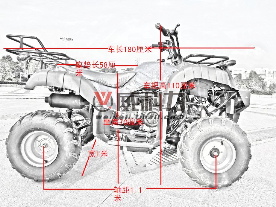 正品威科力150gy-6无级变速版双排大公牛沙滩车/10寸