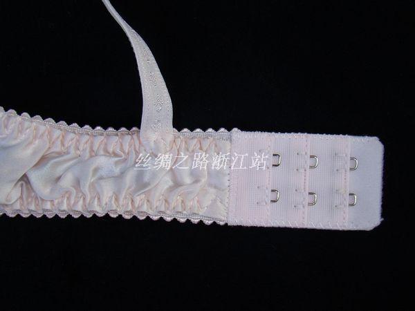 特价乐戴高<em>真丝文胸</em> 无钢圈内衣 刺绣<em>花</em>桑蚕丝