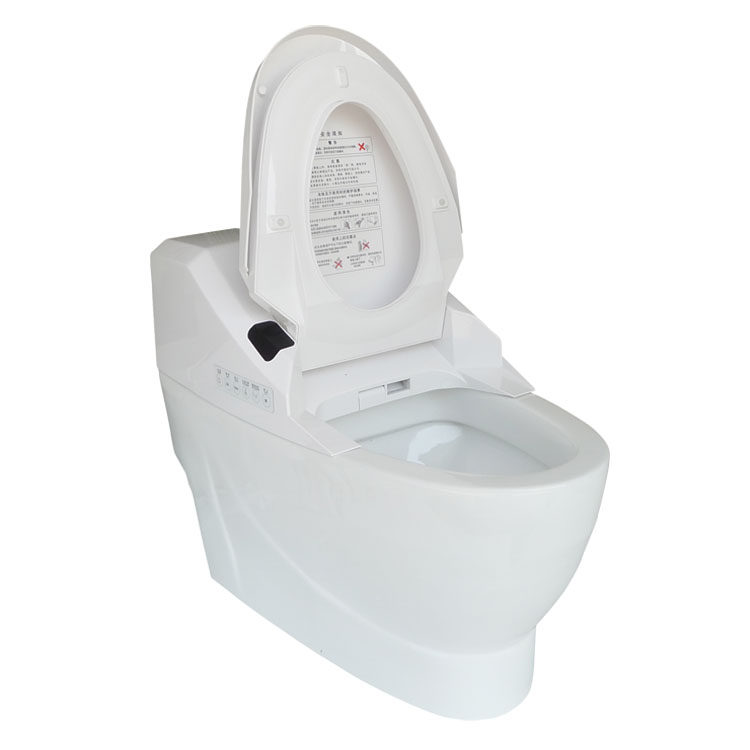 Купить Унитаз электронный Виви/Виктор Вэй-ва-058 умный туалет цельный ...