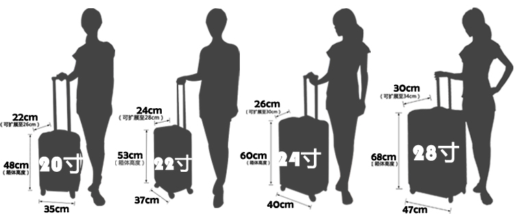 HOLLY801C 特价 韩国男女复古香槟行李箱拉