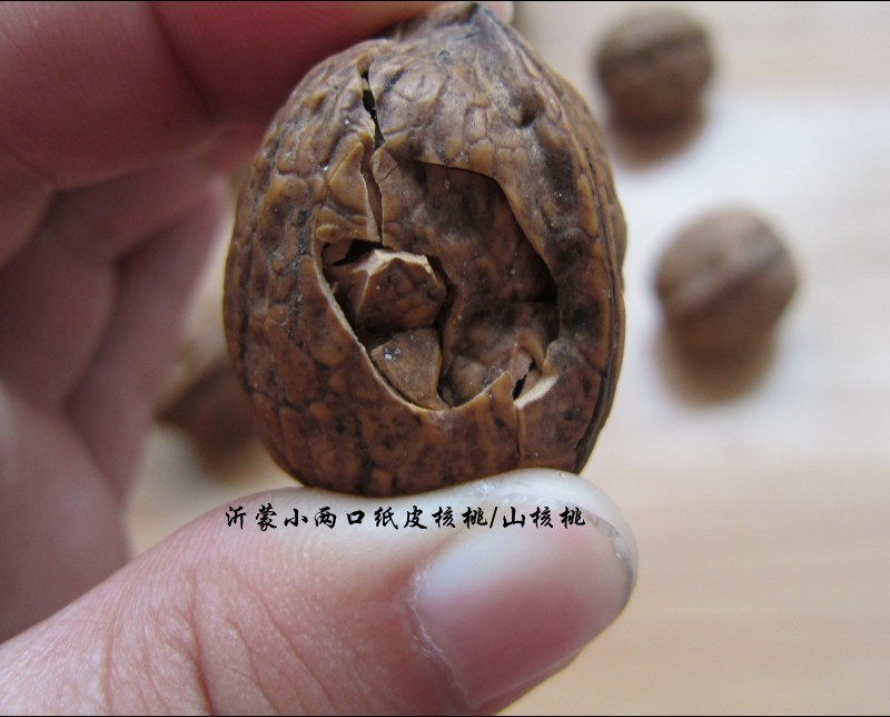 沂蒙小两口纯手工剥壳/孕妇首选生薄皮核桃/生核桃带壳核桃250g