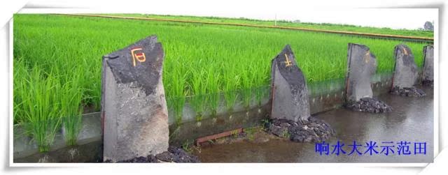 【黑龙江商盟】渤海古国东北特产专营店响水大