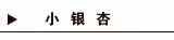 小银杏