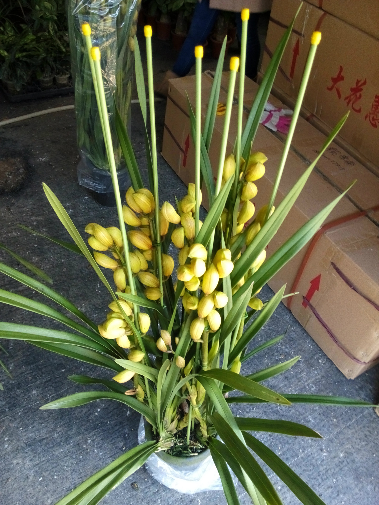 IMG_20141220_131043(1)