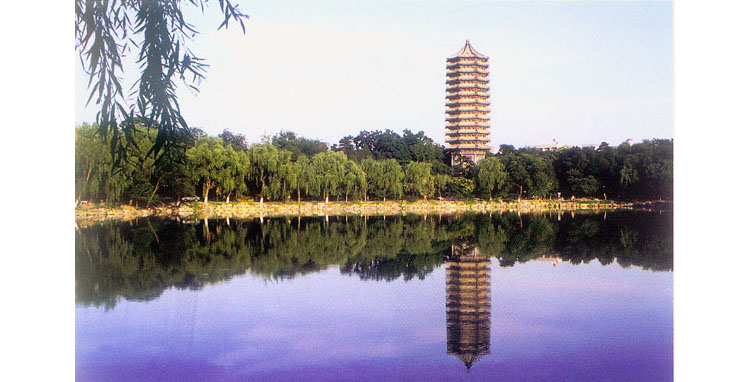 考研经验(一):总分第三,三跨考生,专业课数学零