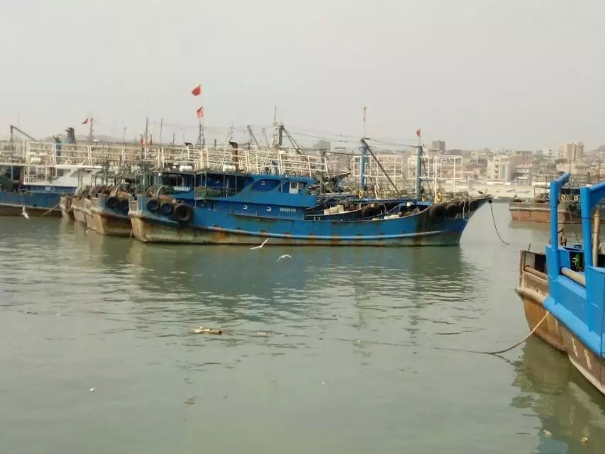 大海麻鱼机 大功率水库电鱼机 脉冲咸水电鱼机 高压电鱼捕鱼机 - 海水捕鱼器电鱼机批发 - 海水电鱼机 淡水捕鱼器 电子逆变器 大海麻鱼机 大功率水库电鱼机 脉冲咸水电鱼机 高压电鱼捕鱼机 - 海水捕鱼器电鱼机批发 - 海水电鱼机 淡水捕鱼器 电子逆变器
