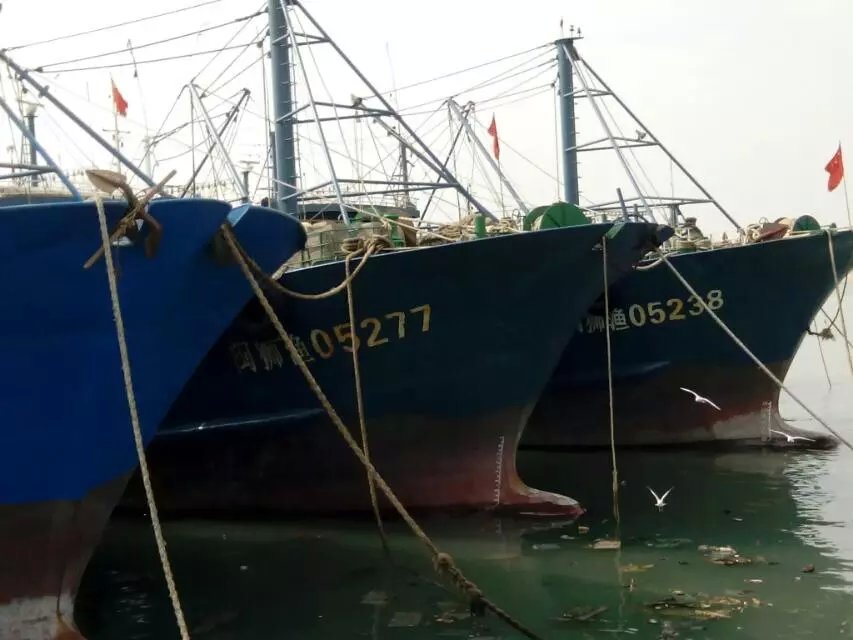 大海麻鱼机 大功率水库电鱼机 脉冲咸水电鱼机 高压电鱼捕鱼机 - 海水捕鱼器电鱼机批发 - 海水电鱼机 淡水捕鱼器 电子逆变器 大海麻鱼机 大功率水库电鱼机 脉冲咸水电鱼机 高压电鱼捕鱼机 - 海水捕鱼器电鱼机批发 - 海水电鱼机 淡水捕鱼器 电子逆变器