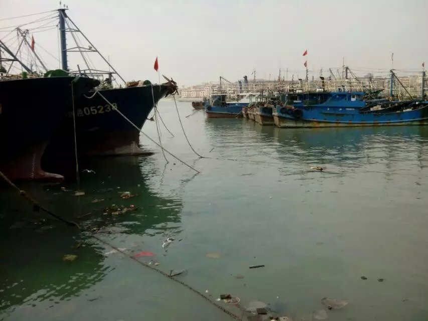 大海麻鱼机 大功率水库电鱼机 脉冲咸水电鱼机 高压电鱼捕鱼机 - 海水捕鱼器电鱼机批发 - 海水电鱼机 淡水捕鱼器 电子逆变器 大海麻鱼机 大功率水库电鱼机 脉冲咸水电鱼机 高压电鱼捕鱼机 - 海水捕鱼器电鱼机批发 - 海水电鱼机 淡水捕鱼器 电子逆变器