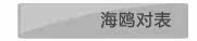 海鸥对表
