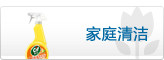 家庭清洁