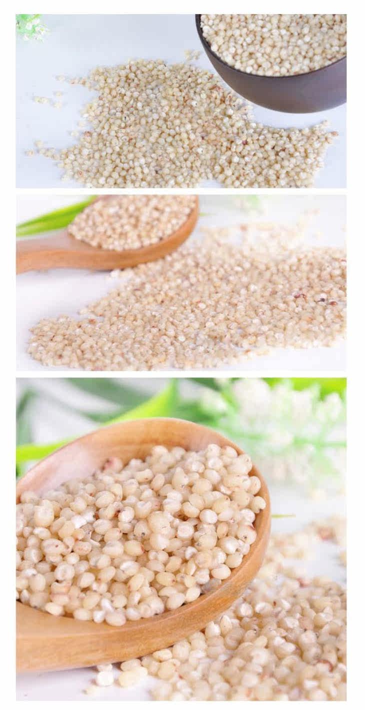 禾煜 高粱米 400g/袋五谷杂粮健脾消食天然营养