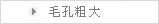 毛孔粗大