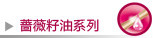 Ǿޱ����ϵ��