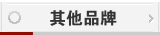 其他品牌