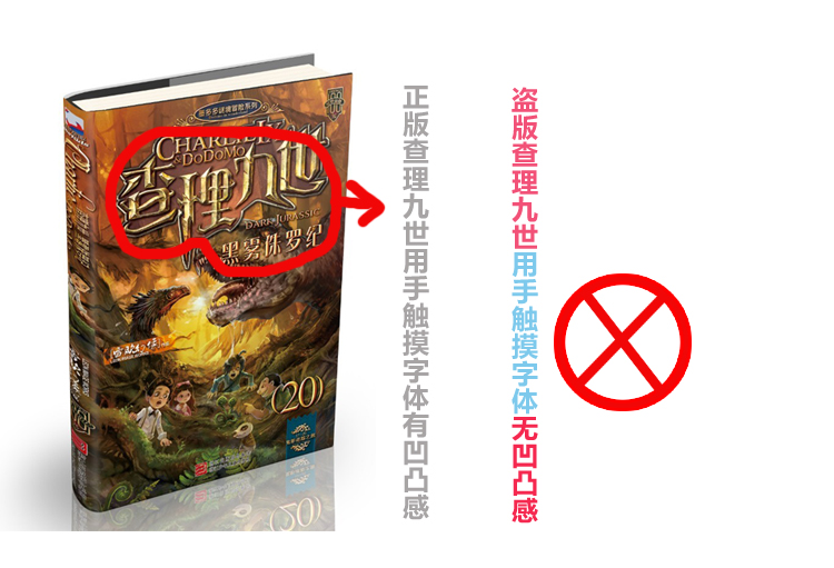 查理九世第二季是盗版吗_360问答- 查理九世盗版重活之王,total recorder