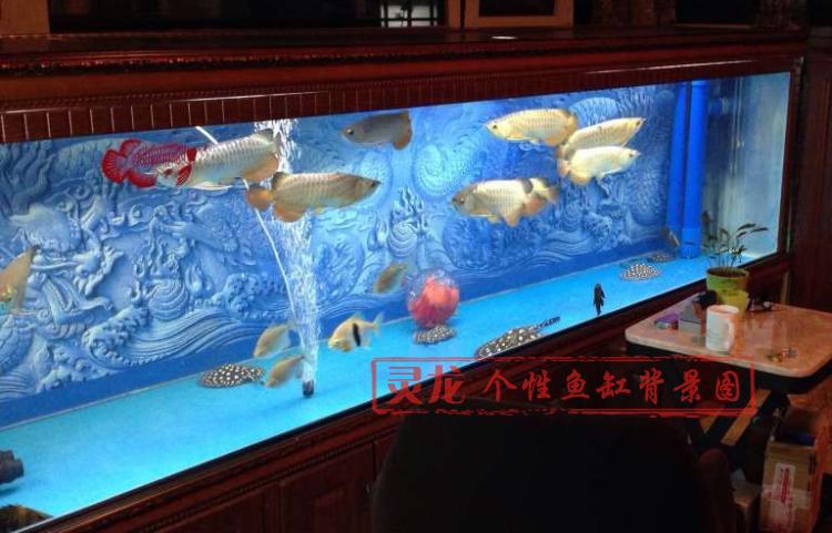 定做龙鱼缸水族箱背景画高清背景纸壁画装饰造景3d立体龙图案设计