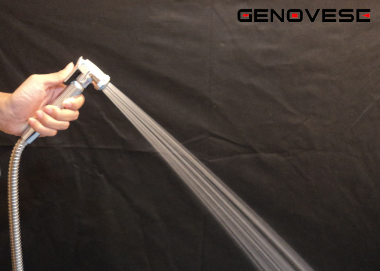 Биде 吉诺维斯 全铜冷热妇洗冲洗器小花洒洁身器二联水龙头带喷枪 Genovese