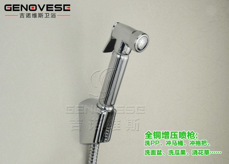 Биде 吉诺维斯 全铜冷热妇洗冲洗器小花洒洁身器二联水龙头带喷枪 Genovese