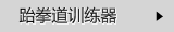 跆拳道训练器
