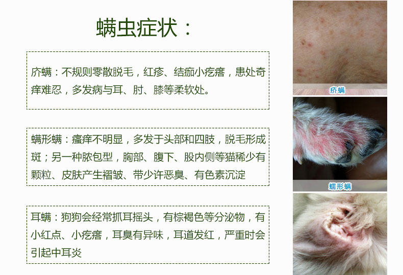 猫藓螨虫_皮特芬100ml皮肤病真菌克宠物猫藓螨虫猫癣 ...