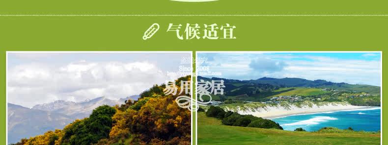 ковер 东升新西兰羊毛地毯欧式客厅茶几垫卧室床边满铺毯加密加大加厚款 Dongsheng XM/004