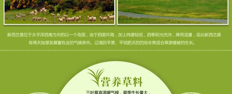 ковер 东升新西兰羊毛地毯欧式客厅茶几垫卧室床边满铺毯加密加大加厚款 Dongsheng XM/004