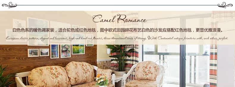 ковер 东升新西兰羊毛地毯欧式客厅茶几垫卧室床边满铺毯加密加大加厚款 Dongsheng XM/004