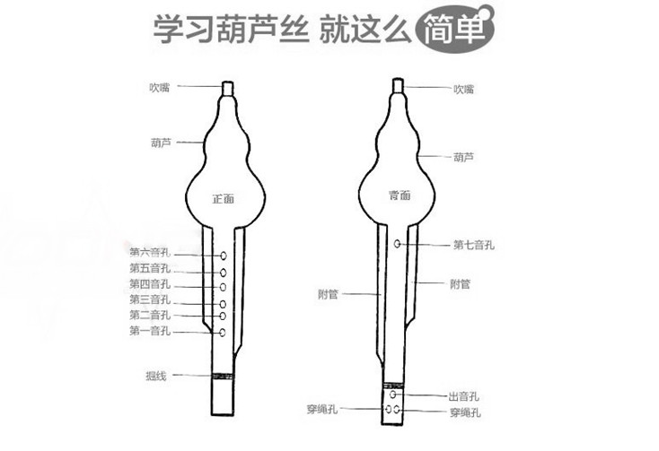 云南葫芦丝乐器专卖凤尾竹双音初学降b调c调厂价批发秒杀送礼包邮