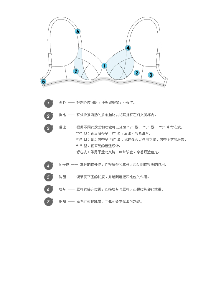 【2,胸型知识,文胸款式特点,结构与作用,文胸与生活,选择误区】关于