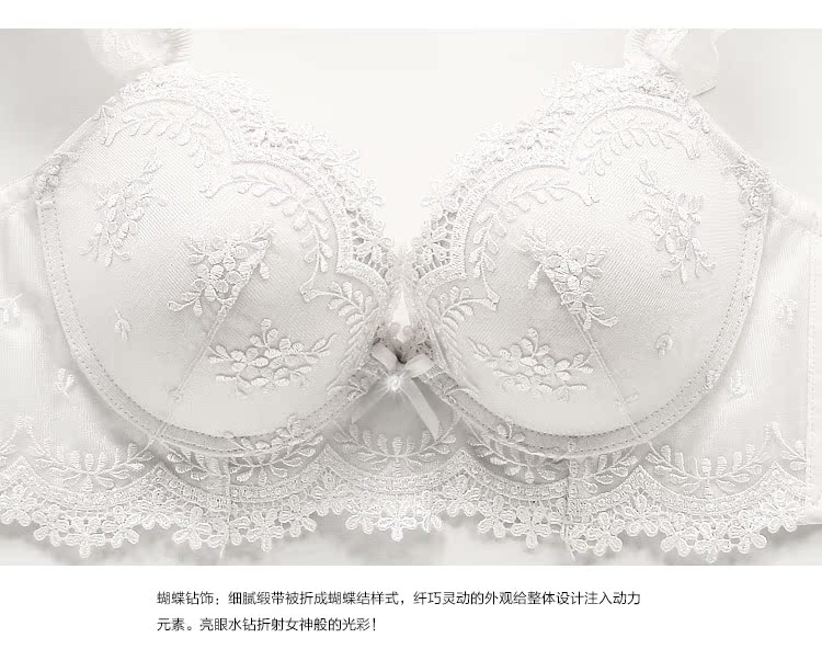 歌瑞尔依恋性感网纱刺绣<em>舒适</em>聚拢调整型女士内