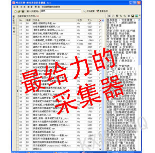 【送伪原创工具】/seo文章采集器/seo优化必备/文章采集软件