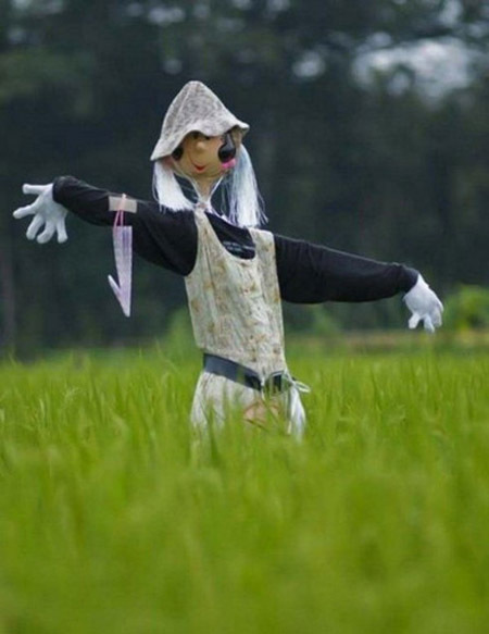 小时候看到很多稻田里都会撑起一个稻草绑成的公仔，那时候很不理解到底是为什么，就问大人，这些稻草人的用意，原来是为了吓唬来偷吃稻谷的鸟儿。