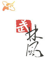 武林风之林帅第三次冲击中国勇士