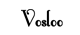 vosloo